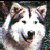 872.gif
